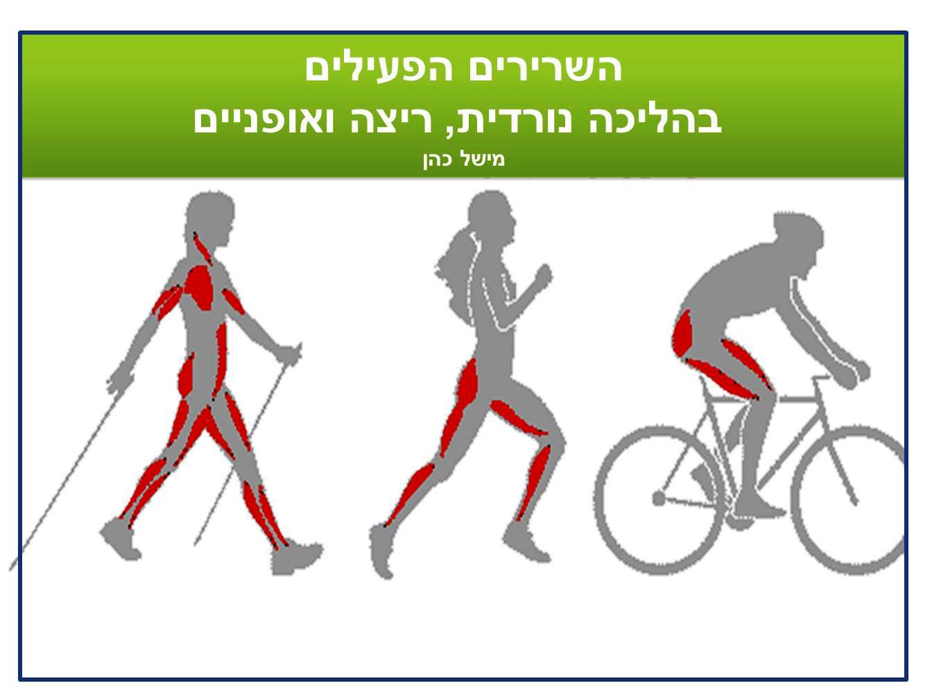 אימון אישי – להתאמת מקלות וסגנון הליכה נורדית – תמונה 2